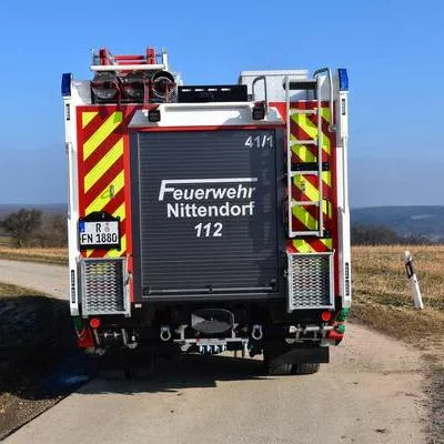 LF_4.JPG